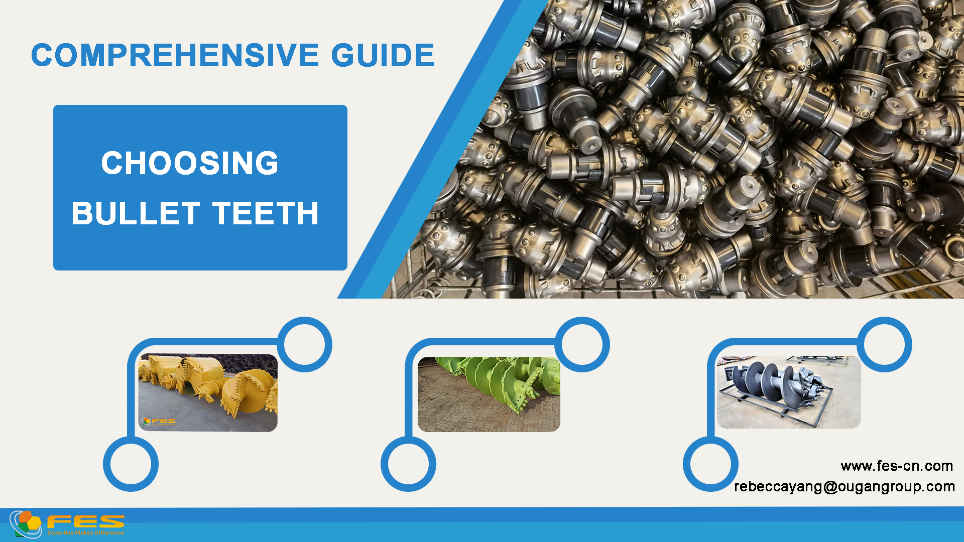 Comprehensive Guide for Choosing Bullet Teeth/ Q&A about the Bullet Teeth